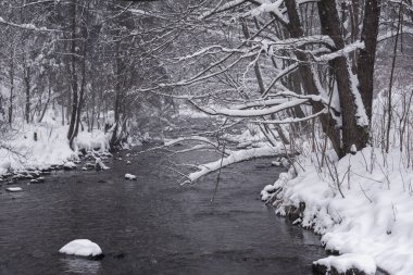 Polonya 'daki Beskid Dağları' nda çağlayan ve şelaleli kış nehri