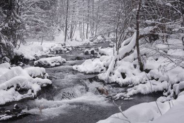 Polonya 'daki Beskid Dağları' nda çağlayan ve şelaleli kış nehri