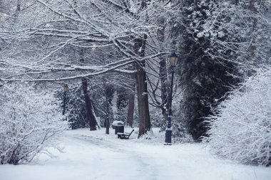 Göletleri, köprüleri ve karla kaplı ağaçları olan kış parkı.