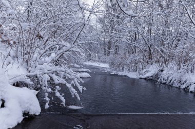 donmuş nehir ağaçlarla ve kışın karla.