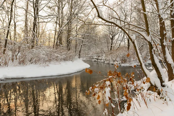 冰冷的河流 冬天有树有雪 图库图片