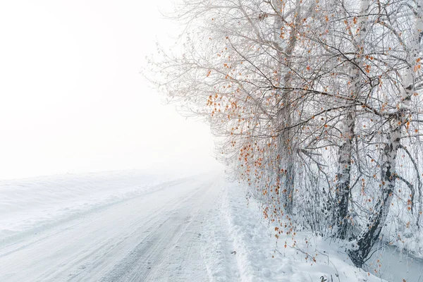 Ağaçlı Güzel Kış Manzarası — Stok fotoğraf