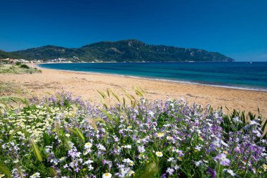 Yunan Korfu adasındaki deniz manzarası