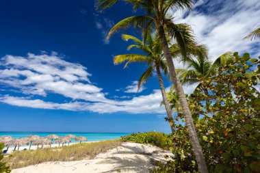 Varadero 'da güneşli bir günde güzel kumlu bir sahil. Küba 'da okyanus manzarası. Yaz egzotik tatili