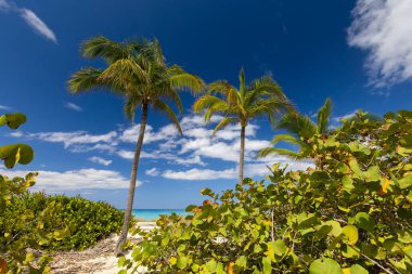Varadero 'da güneşli bir günde güzel kumlu bir sahil. Küba 'da okyanus manzarası. Yaz egzotik tatili