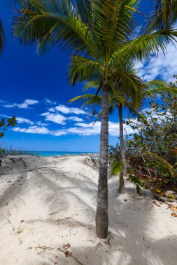Varadero 'da güneşli bir günde güzel kumlu bir sahil. Küba 'da okyanus manzarası. Yaz egzotik tatili