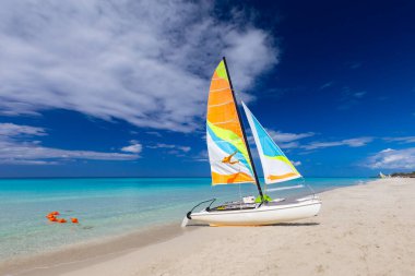 Karayip adada tropikal plaj.