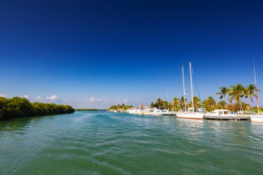 Atlantik Okyanusu 'nun kristal suyu ve mavi gökyüzü. Karayip Denizi 'ndeki tropik ada. Egzotik yolculuk ve katamaran gezisi