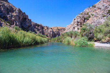 Yunanistan 'ın Girit Adası' nda nehir ve egzotik palmiye ormanları olan Preveli 'nin güzel kumlu sahillerinde tatil ve dinlenme
