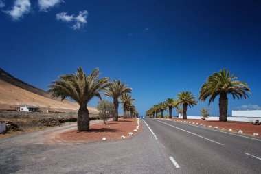 Çölde yol