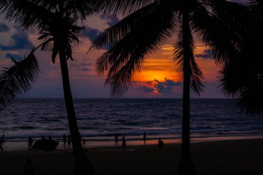 Arka planda palmiye ağaçları olan gün batımı Tayland 'da Hint Okyanusu üzerinde, egzotik duvar kağıdı, tasarımınız için arka plan