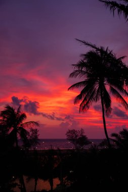 Arka planda palmiye ağaçları olan gün batımı Tayland 'da Hint Okyanusu üzerinde, egzotik duvar kağıdı, tasarımınız için arka plan