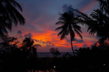 Arka planda palmiye ağaçları olan gün batımı Tayland 'da Hint Okyanusu üzerinde, egzotik duvar kağıdı, tasarımınız için arka plan