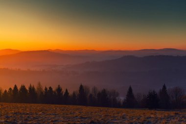 Kış dağlarında gün doğumu Ağaçlar ve kışın renkli gökyüzü