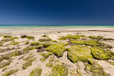 Deniz manzarası, kumlu sahil, seyahat kartpostalı, Tunus 'un Djerba adasında tatil ve dinlenme