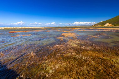 Yunan İyon adasındaki harika yaz tatili manzarası Lefkada, kartpostal ya da seyahat duvar kağıdı, tasarımınız için arka plan