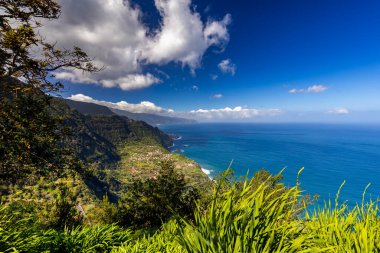 Madeira 'da güneşli bir günde (Miradouro da Beira da Quinta) yeşil çimlerle kaplı bir tepenin dalgalarıyla kayalık kıyı ve mavi Atlantik Okyanusu manzarası, arka plan veya duvar kağıdı
