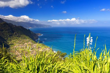 Madeira 'da güneşli bir günde (Miradouro da Beira da Quinta) yeşil bitkilerle kaplı bir tepenin dalgalarıyla kayalık sahili ve mavi Atlantik okyanusunu görmek, arka plan veya duvar kağıdı