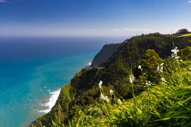 Madeira 'da güneşli bir günde (Miradouro da Beira da Quinta) yeşil bitkilerle kaplı bir tepenin dalgalarıyla kayalık sahili ve mavi Atlantik okyanusunu görmek, arka plan veya duvar kağıdı