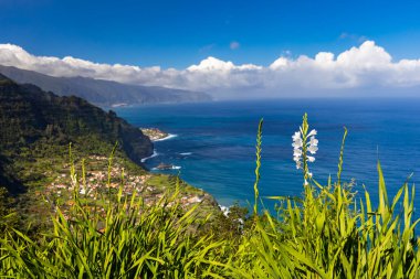 Madeira 'da güneşli bir günde (Miradouro da Beira da Quinta) yeşil bitkilerle kaplı bir tepenin dalgalarıyla kayalık sahili ve mavi Atlantik okyanusunu görmek, arka plan veya duvar kağıdı