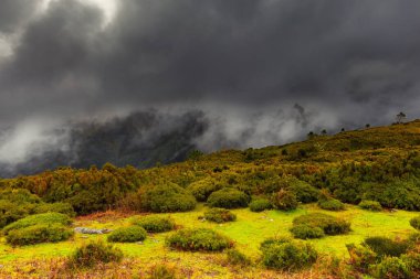 Dağların güzel manzarası
