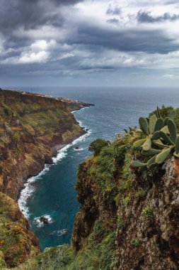 Bulutlu gökyüzünün altında deniz olan kayalık bir sahilin dikey görüntüsü.