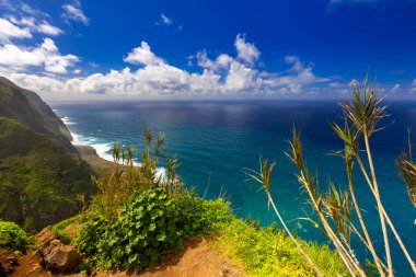Uçurumlar ve Mavi Gökyüzü, Madeira ile Çarpıcı Sahil Manzarası