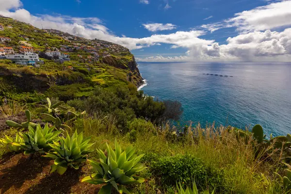 Uçurumlar ve Mavi Gökyüzü, Madeira ile Çarpıcı Sahil Manzarası