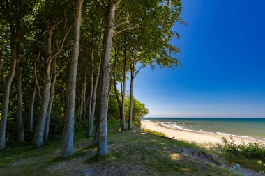Polonya 'da kumlu sahil manzarası ve Baltık Denizi kıyısı olan resimli deniz manzarası, projeniz için arka plan ya da duvar kağıdı