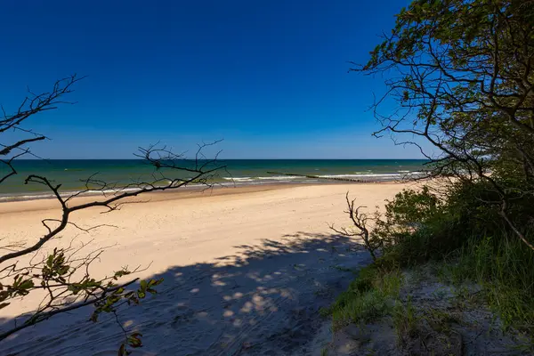 Baltık Denizi kıyısında