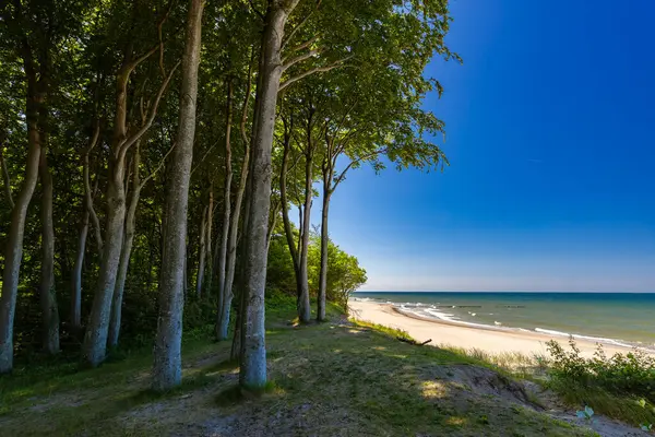 Polonya 'da kumlu sahil manzarası ve Baltık Denizi kıyısı olan resimli deniz manzarası, projeniz için arka plan ya da duvar kağıdı