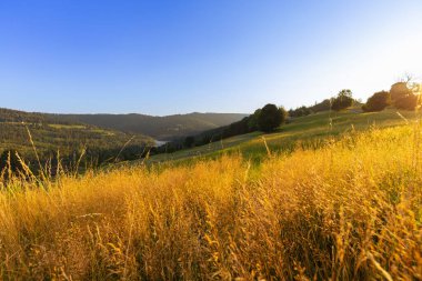 Tepeler arasındaki dağ manzarası ve altın saatinde yemyeşil alanlar Beskid Dağları, Cienkow, Polonya