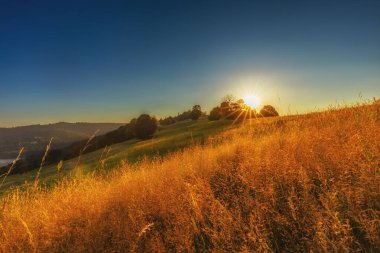 Tepeler arasındaki dağ manzarası ve altın saatinde yemyeşil alanlar Beskid Dağları, Cienkow, Polonya