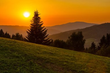 Tepeler arasındaki dağ manzarası ve altın saatinde yemyeşil alanlar Beskid Dağları, Cienkow, Polonya