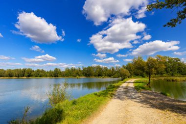 Mavi gökyüzünün altında beyaz bulutlu huzurlu bir manzara, Kobiernice, Silezya, Polonya