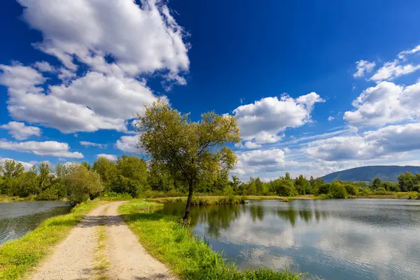 Mavi gökyüzünün altında beyaz bulutlu huzurlu bir manzara, Kobiernice, Silezya, Polonya