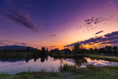 Altın gökyüzünü ve siluetli ağaçları yansıtan sakin bir gölün üzerinde gün batımı, Kobiernice, Silezya, Polonya