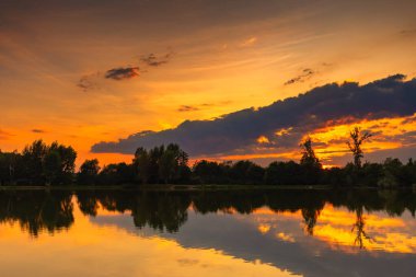 Altın gökyüzünü ve siluetli ağaçları yansıtan sakin bir gölün üzerinde gün batımı, Kobiernice, Silezya, Polonya