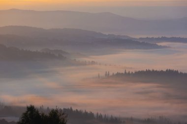 Sonbahar dağ manzarası ve şafak vakti sisli ve güneşli huzurlu manzara, Beskid, Polonya, arka plan veya fotoğraf duvar kağıdı