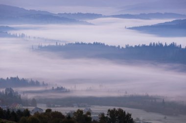 Sonbahar dağ manzarası ve şafak vakti sisli ve güneşli huzurlu manzara, Beskid, Polonya, arka plan veya fotoğraf duvar kağıdı