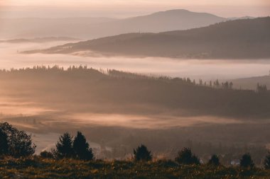 Sonbahar dağ manzarası ve şafak vakti sisli ve güneşli huzurlu manzara, Beskid, Polonya, arka plan veya fotoğraf duvar kağıdı
