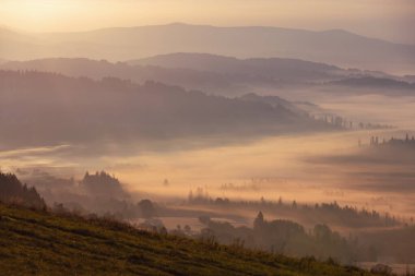 Sonbahar dağ manzarası ve şafak vakti sisli ve güneşli huzurlu manzara, Beskid, Polonya, arka plan veya fotoğraf duvar kağıdı