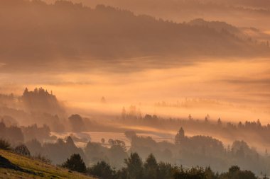 Sonbahar dağ manzarası ve şafak vakti sisli ve güneşli huzurlu manzara, Beskid, Polonya, arka plan veya fotoğraf duvar kağıdı