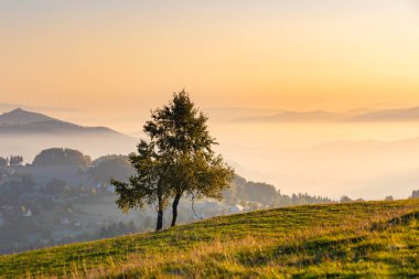 Sonbahar dağ manzarası ve şafak vakti sisli ve güneşli huzurlu manzara, Beskid, Polonya, arka plan veya fotoğraf duvar kağıdı