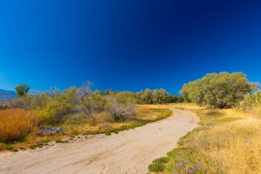 Ege Denizi 'nde yer alan Yunan volkanik adası Lezbo' dan mavi gökyüzüyle Skala Kalloni 'nin bir manzarası.