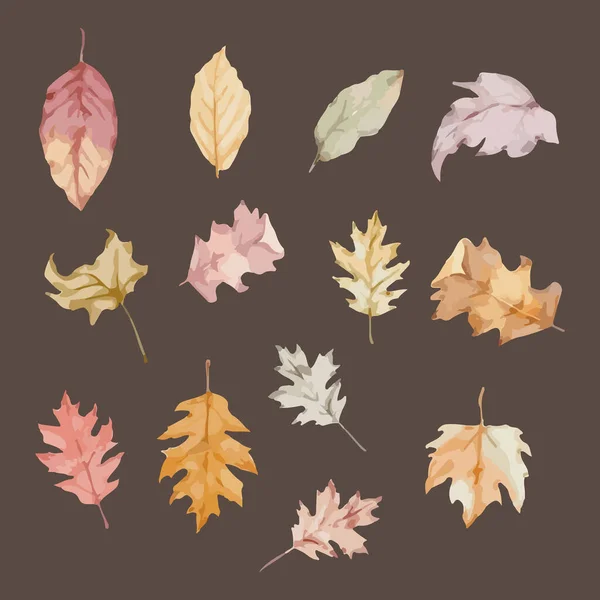Набор Цветных Осенних Листьев Акварельная Векторная Иллюстрация — стоковый вектор