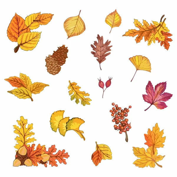 stock vector Set of colorful autumn leaves. Watercolor vector illustration 