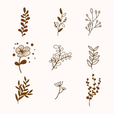 Tasarımınız için elle çizilmiş vektör dairesel dekoratif öğeler kümesi. Yaprakları, kıvrımlar, çiçek öğeleri.