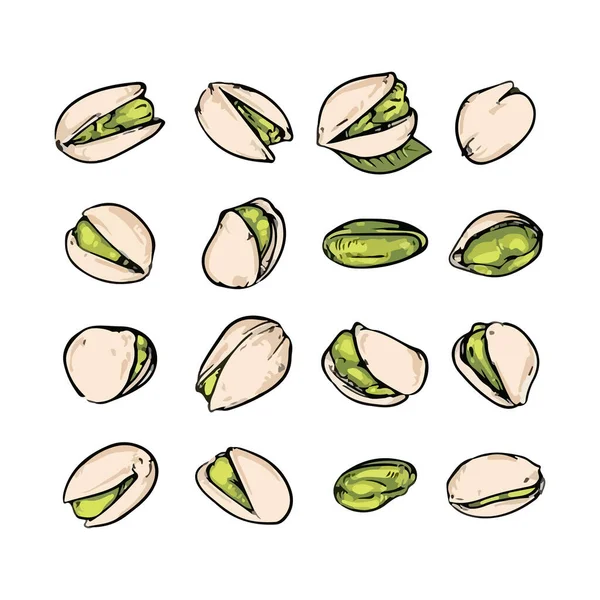 Sada Pistáciových Ořechů Ručně Kreslená Vektorová Ilustrace — Stockový vektor