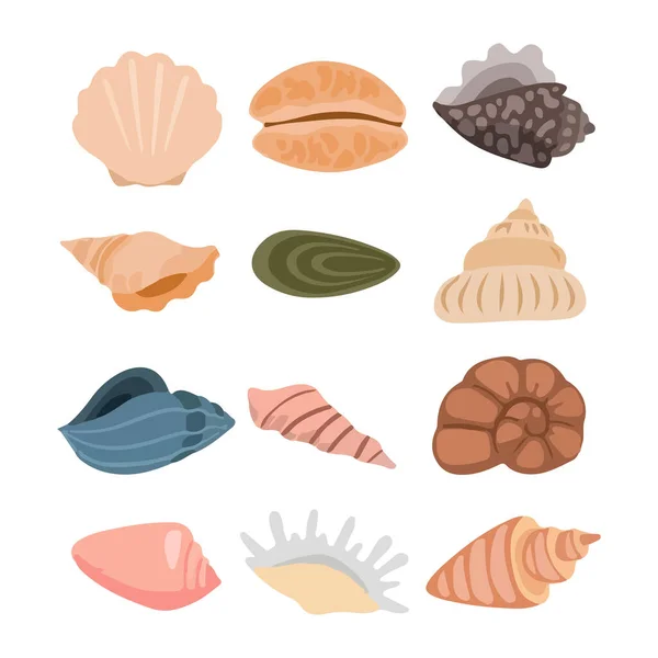 Sea Shells Element Vector Illustratie — Stockvector